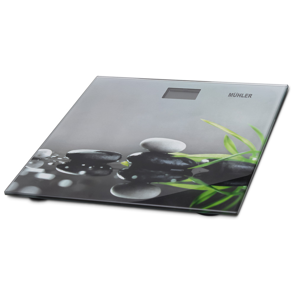 Muhler MSC3077